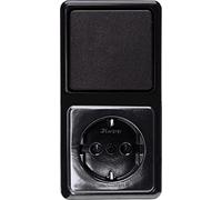 KOPP 108805000 - Programa de Montaje en Superficie estándar, Color Negro, combinación Vertical, Compuesto por Universal (Interruptor de Cambio) y Enchufe, 16 A, 250 V
