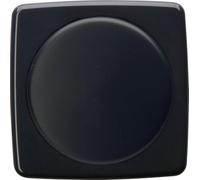 Kopp 335215182 Rivo - Cubierta para regulador de intensidad con interruptor de presión, color gris