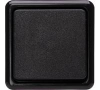 KOPP 513605008 - Interruptor universal (10 A, 250 V)