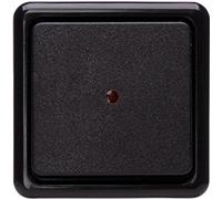 KOPP 514605009 - Interruptor de control (10 A, 250 V, con lente y luz luminosa), color negro