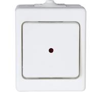 Kopp 564602001 interruptor de control de superficie para cuartos húmedos con lente y lámpara incandescente incorporada, estándar IP44