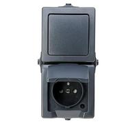 Kopp Nautic 136815006 - Toma de corriente (2 enchufes de contacto central con tapa abatible y mayor protección táctil e interruptor universal), montaje en superficie húmeda, IP44, montaje vertical,