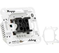 Kopp Smart Control 833502012 - Regulador de intensidad universal para Kopp y varios fabricantes de interruptores, Smart Home, Amazon Alexa, Google Home,
