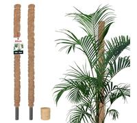KOTARBAU® 2 uds Tutores para Plantas - Tutor Monstera - Fibra de Coco - ⌀ 2,5 x 80 cm - Marrón - Palos para Sujetar Plantas - Tutor Planta