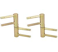 KOTARBAU® 2 x Bisagras Anuba de puerta, Pernos para puerta y marco, 20 mm, Pernio rascado, Bisagra perno de enroscar, Bisagra para puerta regulable 3D de latón inoxidable, Bisagra puertas de madera