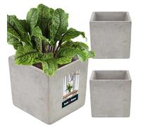 KOTARBAU® 2 x Macetas cuadradas de hormigón de 16 cm, Tiesto para plantas, Macetero de cemento para interiores, Diseño Minimalista, industrial, Maceta de piedra, Estilo moderno, Maceteros para plantas