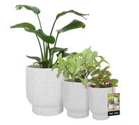 KOTARBAU® Juego de 3 macetas de cerámica de 18 cm / 23 cm / 27 cm, color blanco, terrazo de flores, macetas de cerámica, para plantas de interior, color blanco