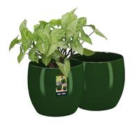 KOTARBAU® Maceta de cerámica redonda verde maceta cerámica para plantas de interior maceta moderna pequeña maceta maceta cerámica orquídea maceta cerámica, verde oscuro, ⌀ 12,5 cm, Juego de 2 unidades