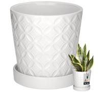 KOTARBAU® Macetero con platillo blanco, 13 cm, altura: 15 cm, cerámica esmaltada, maceta grande para cactus, maceta con platillo