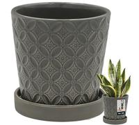 KOTARBAU® Macetero con platillo gris, 13 cm, altura: 15 cm, cerámica esmaltada, maceta grande para cactus, maceta con platillo