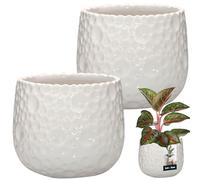 KOTARBAU® Macetero de cerámica redondo blanco, maceta de cerámica para plantas de interior, maceta moderna pequeña maceta de cerámica para orquídeas, Blanco, ⌀ 12 cm, Juego de 2 unidades