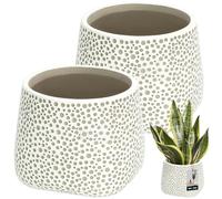 KOTARBAU® Macetero de flores sin esmaltar, acabado mate, color gris, abombado, 11 cm, altura de 11 cm, 2 unidades para plantas de interior, maceta de cerámica, grande, moderna