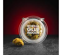 Kratom World CBD Indoor Gorilla Glue 15% 5g