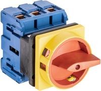 Kraus & Naimer - Interruptor de emergencia, 100A, 3 polos (KG100.T203/01.E)