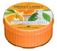 Kringle Candle Citrus Blossom & Honey vela de té 42 g