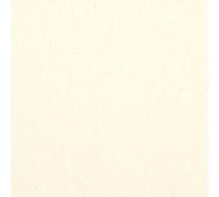 Kt KILOtela - Tela Loneta Tintada, Decoración, Tapizar, Cojines, Cortinas, Colchas, Bolsos, Manteles, 300 cm Largo x 280 cm Ancho, Color Blanco Roto, Beige, Natural 000-3 Metros