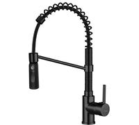Grifo de cocina, mate, con sistema de muelle y función de rociador, marca SERPEN