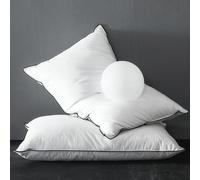KUSNUG Almohada de Plumón de Ganso 40x80 Pack 2, Plumón y Plumas Relleno rodeados de un Tejido 100% Algodon Organico, Almohadas de Hotel Lujo Ergonómica de 3 Cámaras, Cojin para Dormir