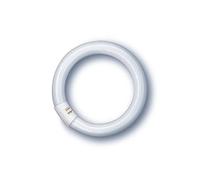 OSRAM G10q 22W 865 Lumilux T9C anillo fluorescente EC:EPREL:546413