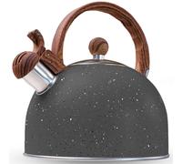 LA MOUSTACHE Tetera de Agua Silbante Vintage 2,5L de Acero Inoxidable - Kettle