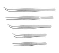 LABRIMP Juego de Pinzas de Jardinería 5 Piezas, de Acero Inoxidable | Puntas Rectas y Curvas, Agarre Antideslizante, Acabado Metálico Plata, para Micro Paisajismo Interior