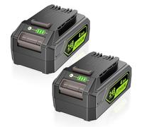 LabTEC 2 Packs Batería GW2430 para Greenworks, batería de Iones de Litio de 24 V y 4,0 Ah, de Recambio para Herramientas Greenworks de 24 V: 29862, 2938202, 26111700. Cargador, cortacésped, soplador