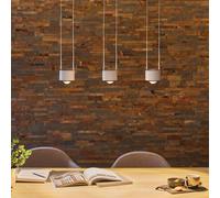 Paulmann Aldan lámpara colgante 3x9 W negro PL79720