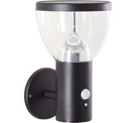 Lámpara de pared solar LED, modelo BRILLIANT TULIP, con sensor de movimiento, 4W, 430 lúmenes, fabricada en acero inoxidable y plástico, color