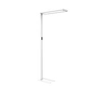 Lámpara de pie LED para oficina MAULsenja, blanca, sensor, altura 196 cm