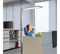 Lámpara de pie LED para oficina MAULsenja, color plateado, sensor, 196 cm