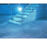 Lámpara De Piscina Led Par56 16W 1500lm 6500K Haz Amplio - 145619