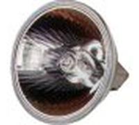 Lámpara del reflector halógeno Novelco Enh 120 vol