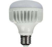 Lámpara LED de luz diurna StudioKing 25 W E27 FLED-25
