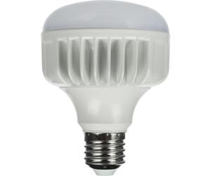 Lámpara LED de luz diurna StudioKing 25 W E27 FLED-25