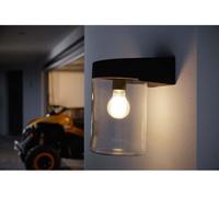 Lámpara LED de pared y techo Osram, apta para uso en exteriores, con casquillo E27, modelo Endura Classic Bold