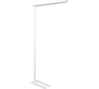 Lámpara LED de pie MAULjet MAUL, altura 1950 mm