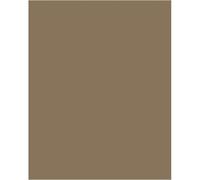 LASTOIS FH-CV de TEAIS, Pintura Impermeabilizante a Base Resinas Elastoméricas para Fachadas, Resistente a UV y Ambientes Marinos Earth brown