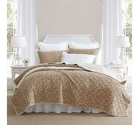 Laura Ashley - Juego de edredón Queen, Ropa de Cama de algodón Ligero con Fundas a Juego, decoración del hogar Inspirada en Flores Vintage con Reverso sólido (Naranja Quemado de oveston, Queen)