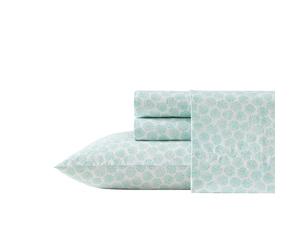 Laura Ashley - Sábanas tamaño Queen, Juego de Ropa de Cama de percal de algodón, Ligeras y Transpirables, decoración del hogar (Conchas de argate Azul, Queen)
