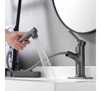 LAZ HOME Grifo de lavabo de baño con pulverizador extraíble, mezclador de agua de un solo orificio y mango, recipiente extraíble, caño giratorio, conjunto de desagüe (gris pistola, normal)
