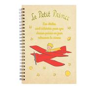 Cuaderno anillas A5 El Principito avión relieve y brillo