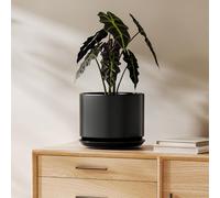 LE TAUCI Maceta de Cerámica de 20 cm con Plato Integrado y Agujero de Drenaje, Macetero Moderno y Minimalista para Plantas de Interior, Negro