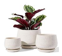 LE TAUCI Macetas, 10+12.5+16.5 cm Macetero, Juego de 3 Macetas de Cerámica con Agujero de Drenaje y Platillo, Macetas Decorativas Interior con Almohadilla de Malla, Regalos para Mamá, Beige