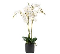 Leaf Design UK - Orquídea Artificial (60 cm)