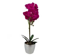Leaf Design UK - Orquídea Artificial Realista en Maceta