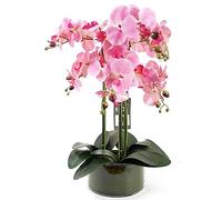 Leaf Design UK - Orquídea Artificial Realista en Maceta
