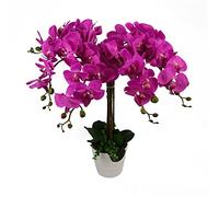 Leaf Design UK - Orquídea Artificial Realista en Maceta, Color Rosa Oscuro, 85 cm