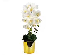 Leaf Design UK - Orquídea Artificial Realista en Maceta, Oro Blanco, 52 cm