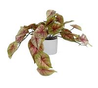 Leaf Design UK - Planta Artificial Realista de follaje (30 cm), Color Rosa