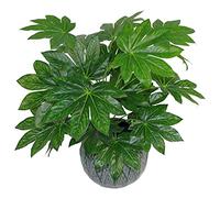 Leaf Design UK - Planta de follaje Artificial Grande Realista con Maceta, Aralia, 60 cm, AZ-Foliage